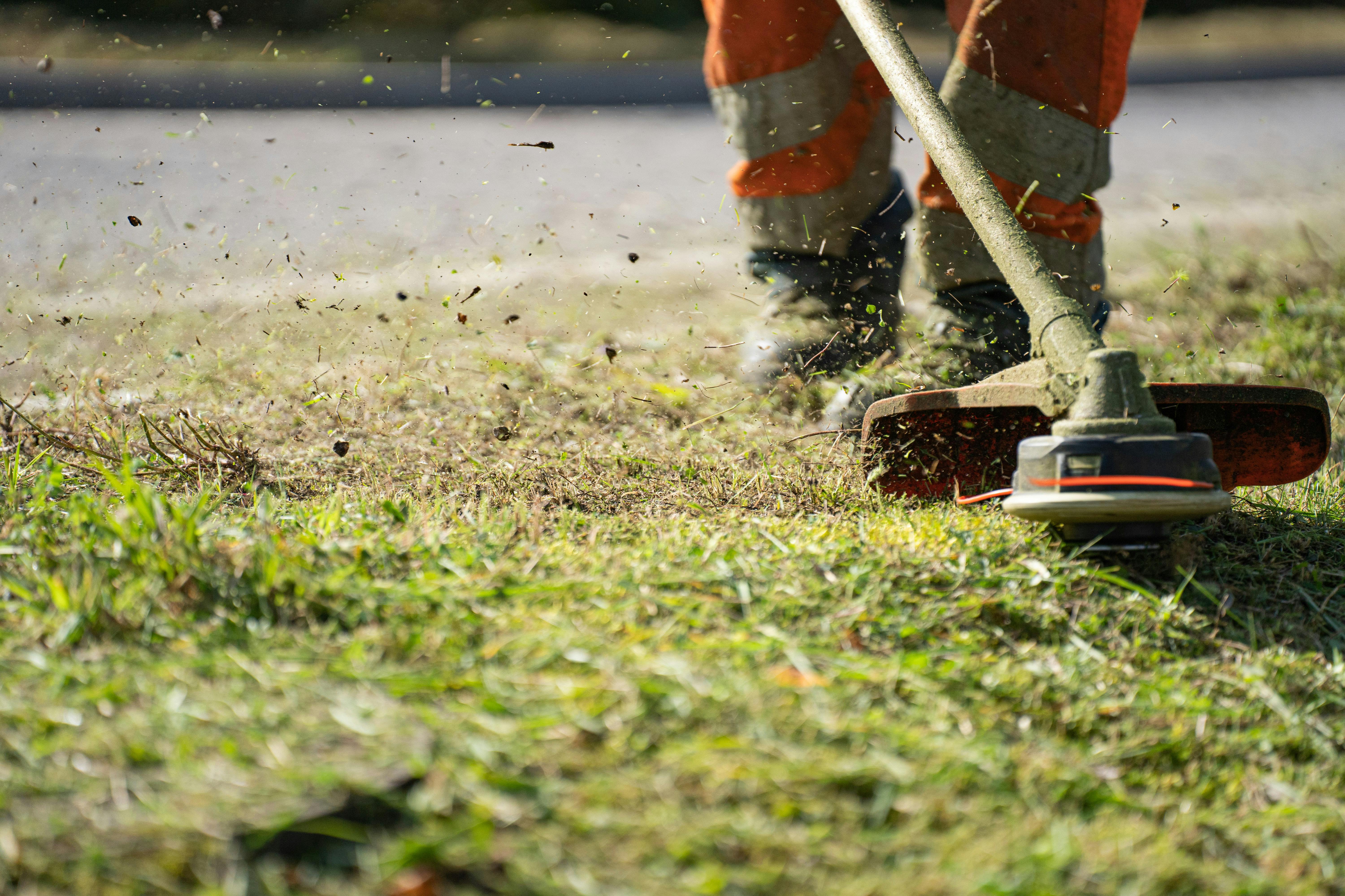 Lawn Care & Maintenance services near you Lawn Care & Maintenance