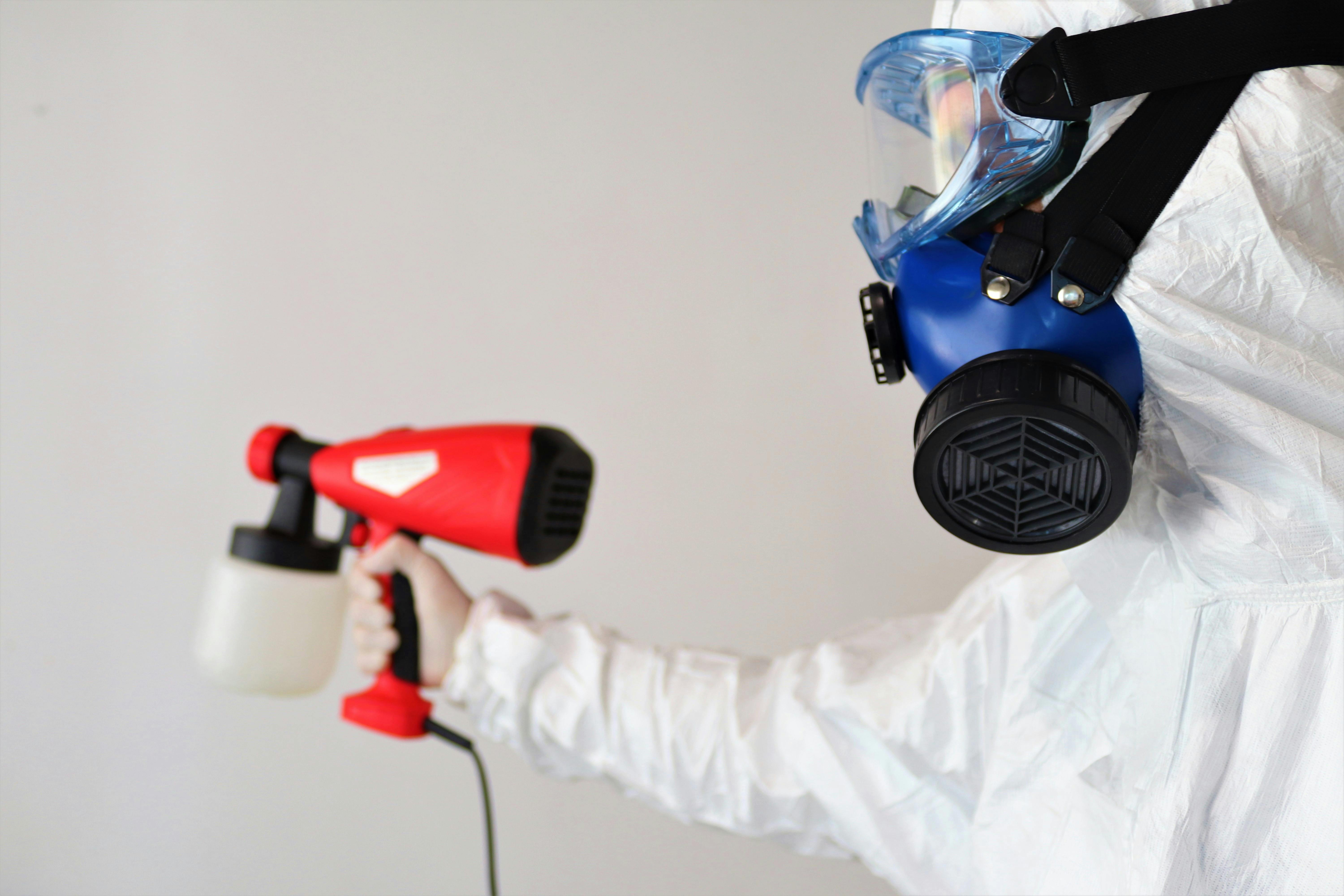 Mold Remediation services near you Mold Remediation